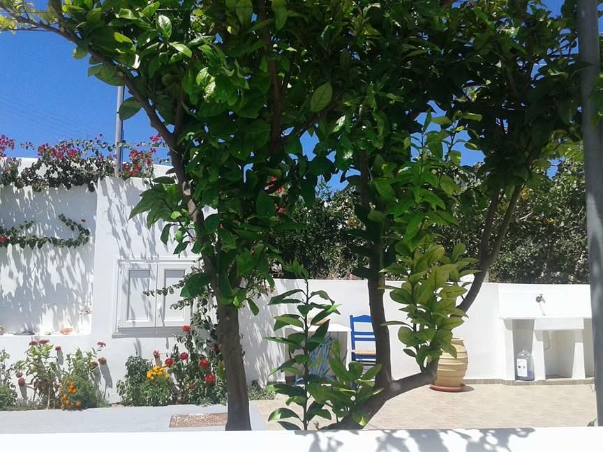 Matilda Milos - Cycladic Living Leilighet Triovasálos Eksteriør bilde
