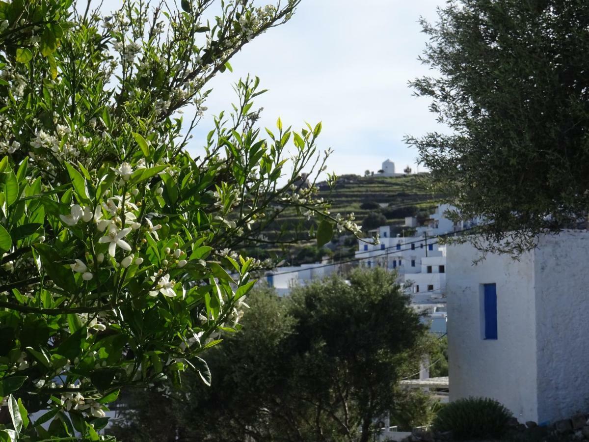 Matilda Milos - Cycladic Living Leilighet Triovasálos Eksteriør bilde
